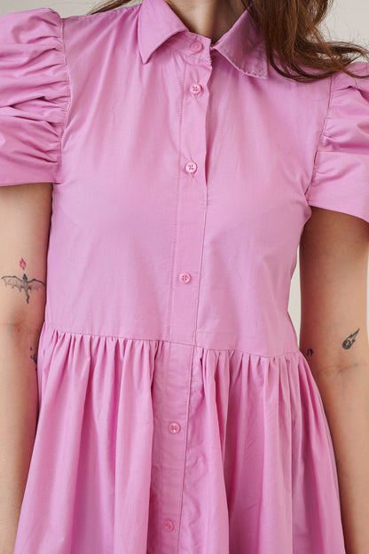 Blush Story Dress