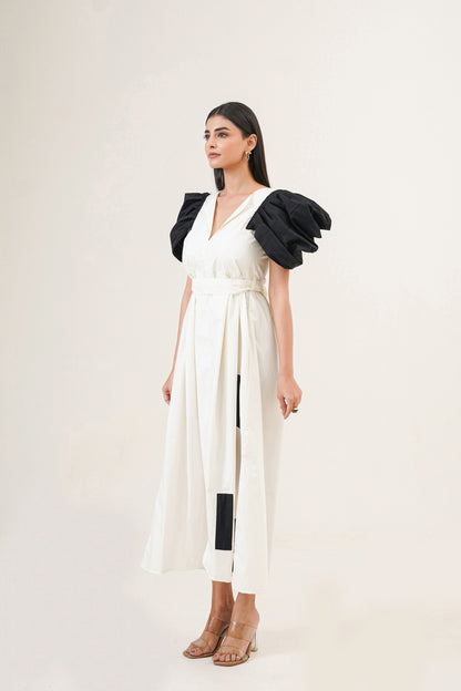 Ink And Ivory Dress
