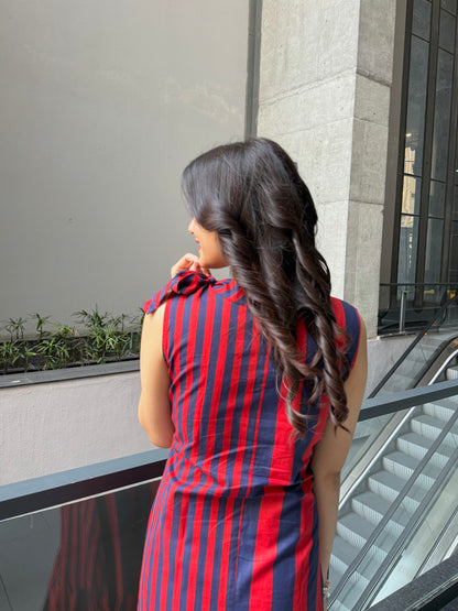 Berry Picnic Dress