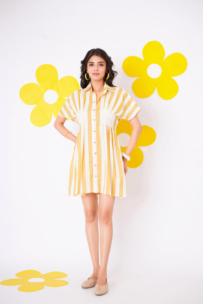 Sand Stripe Bloom Dress